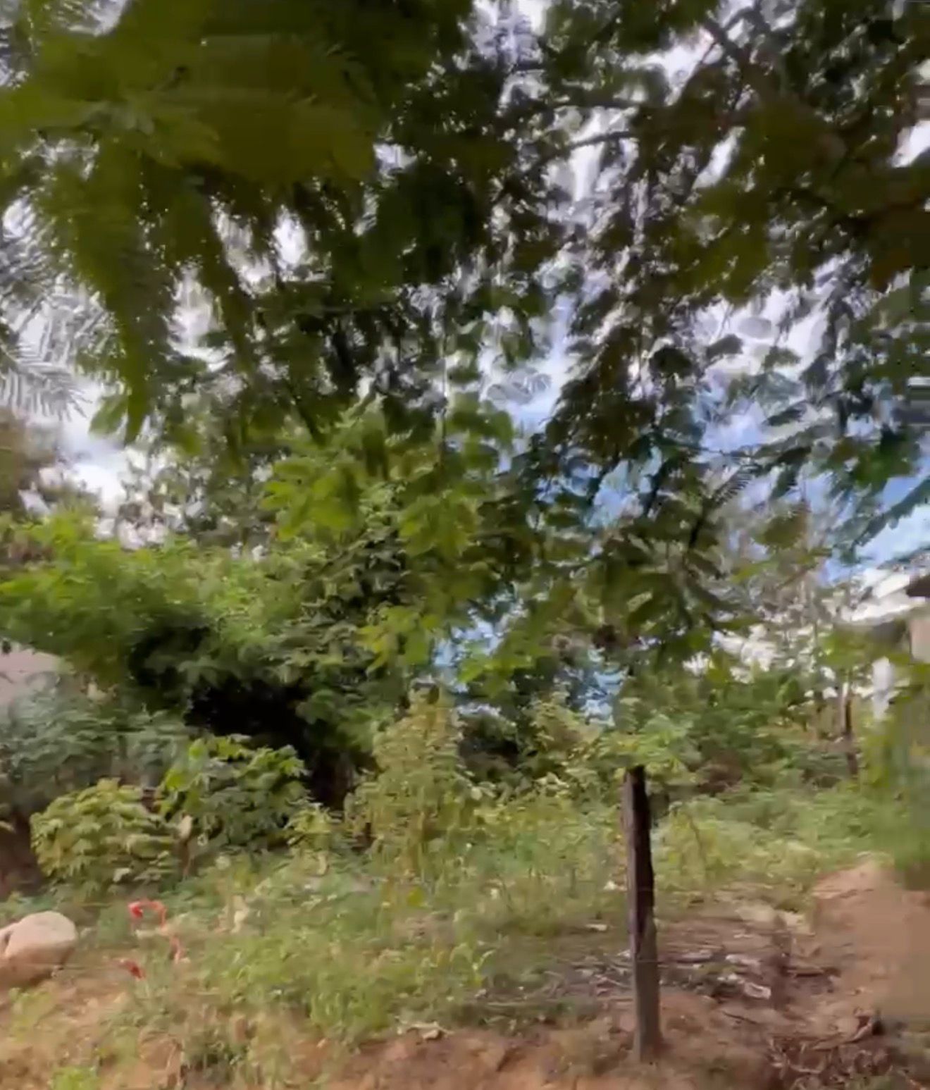 Terreno 200 m² en Morales, a 1½ cuadras de Plaza Vea